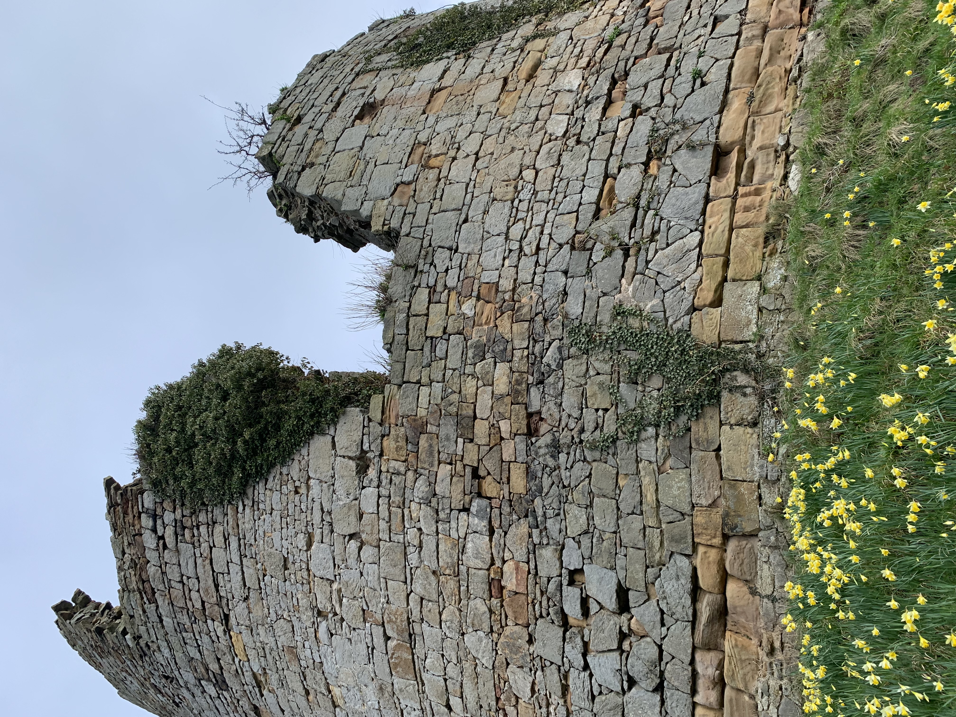 Hawarden Old Castle on an early spring day